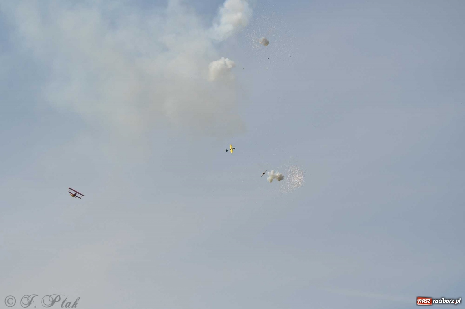 Zdjęcie w galerii na portalu naszraciborz.pl: Raciborskie air show przyciągnęło tłumy  wiadomości z regionu