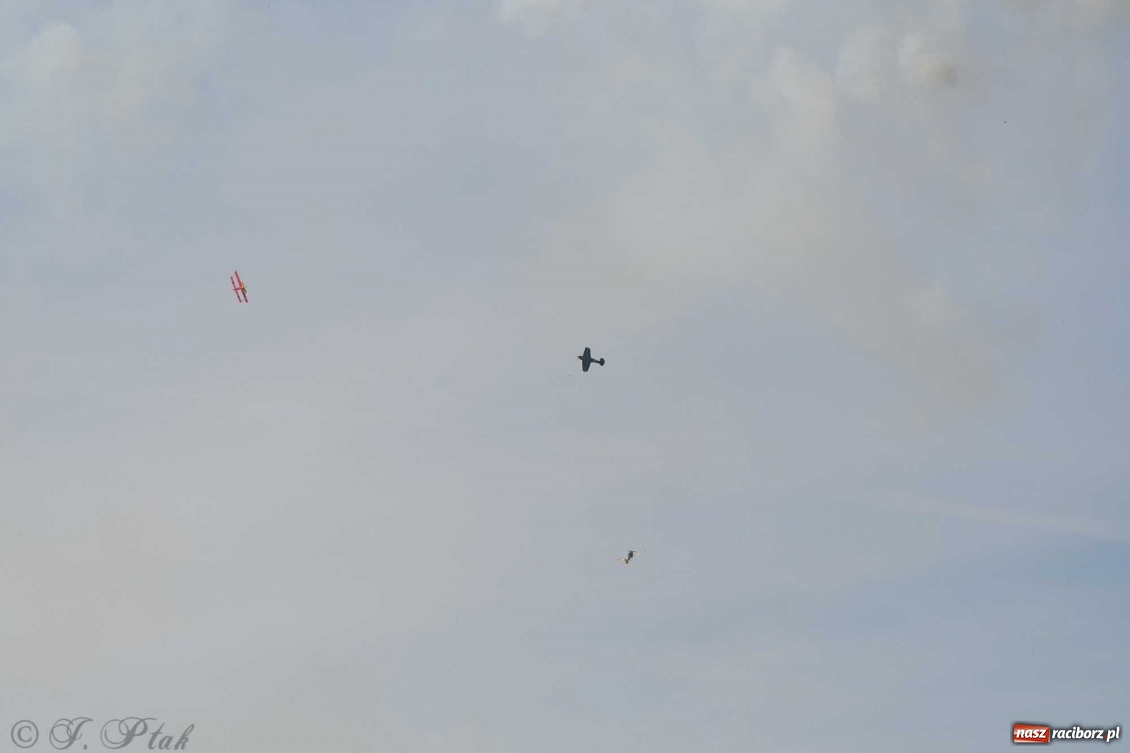 Zdjęcie w galerii na portalu naszraciborz.pl: Raciborskie air show przyciągnęło tłumy  wiadomości z regionu