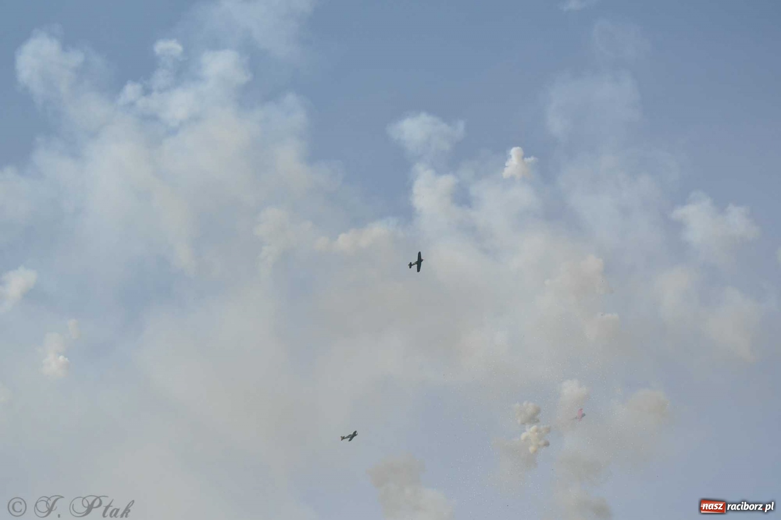 Zdjęcie w galerii na portalu naszraciborz.pl: Raciborskie air show przyciągnęło tłumy  wiadomości z regionu