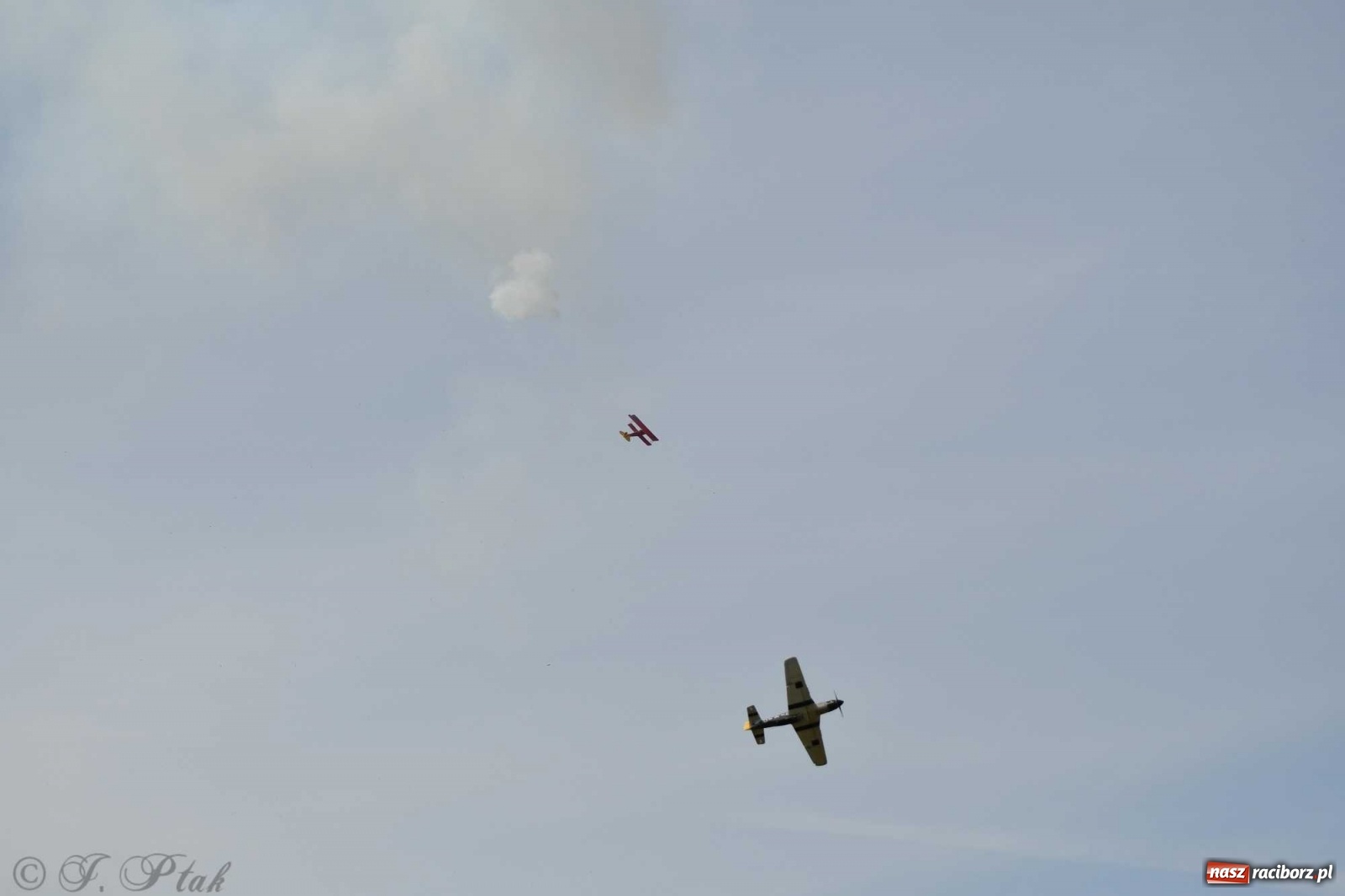 Zdjęcie w galerii na portalu naszraciborz.pl: Raciborskie air show przyciągnęło tłumy  wiadomości z regionu