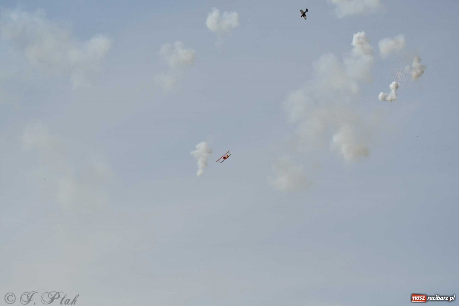 Zdjęcie w galerii na portalu naszraciborz.pl: Raciborskie air show przyciągnęło tłumy  wiadomości z regionu