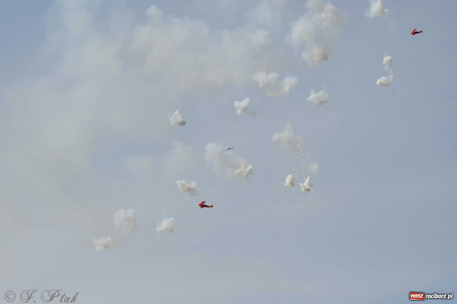 Zdjęcie w galerii na portalu naszraciborz.pl: Raciborskie air show przyciągnęło tłumy  wiadomości z regionu