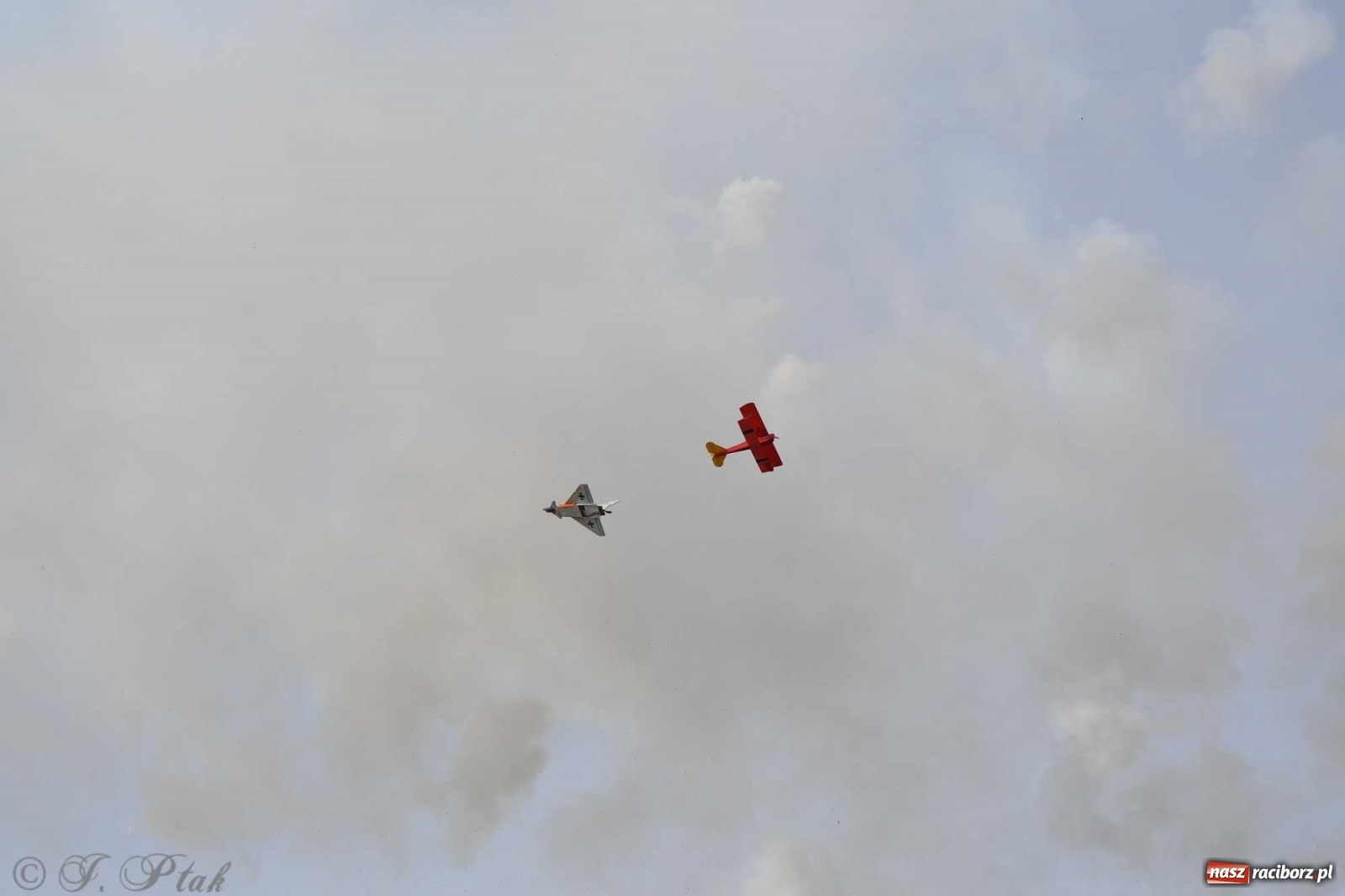 Zdjęcie w galerii na portalu naszraciborz.pl: Raciborskie air show przyciągnęło tłumy  wiadomości z regionu