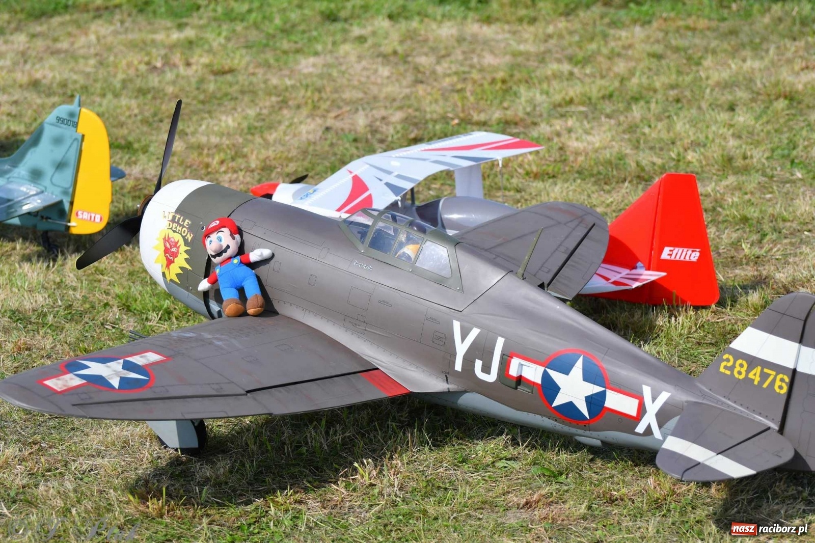 Zdjęcie w galerii na portalu naszraciborz.pl: Raciborskie air show przyciągnęło tłumy  wiadomości z regionu