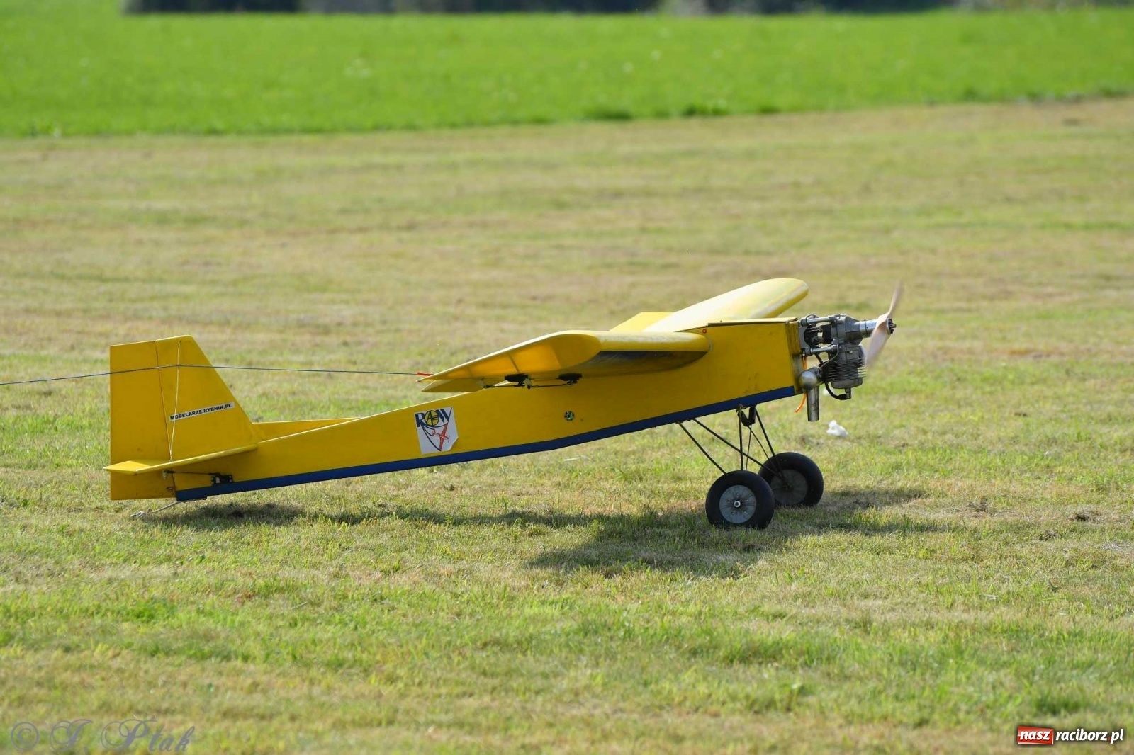 Zdjęcie w galerii na portalu naszraciborz.pl: Raciborskie air show przyciągnęło tłumy  wiadomości z regionu