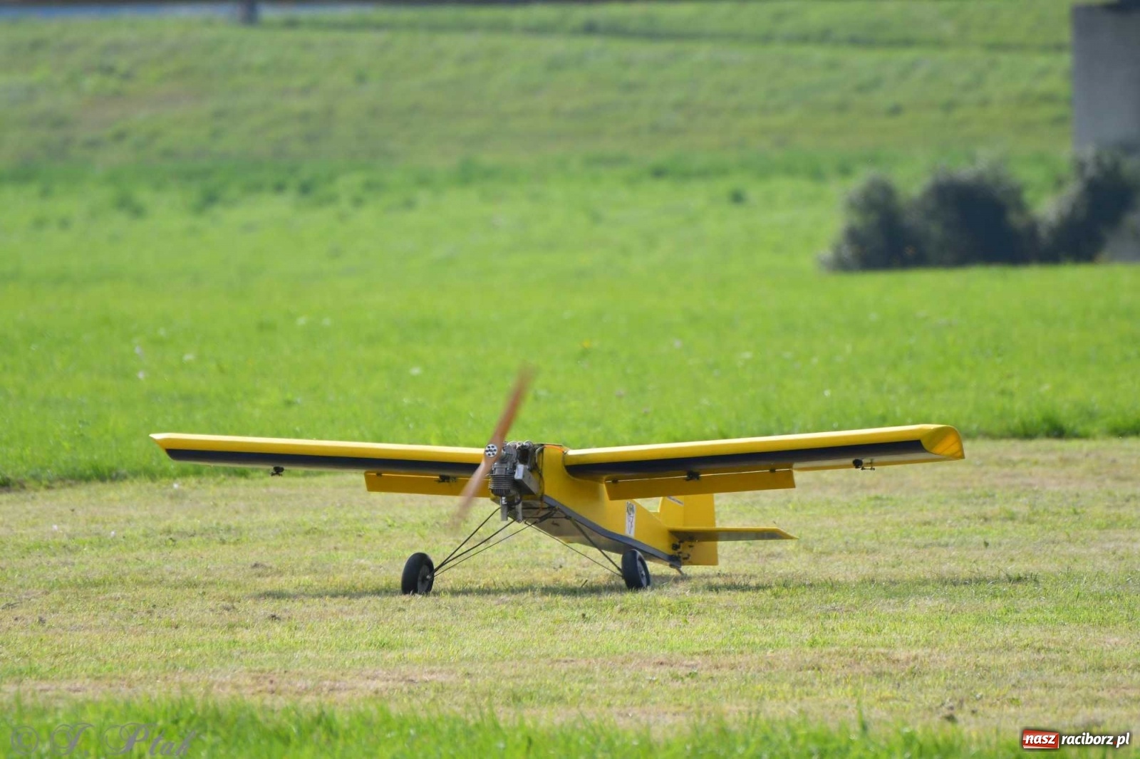 Zdjęcie w galerii na portalu naszraciborz.pl: Raciborskie air show przyciągnęło tłumy  wiadomości z regionu