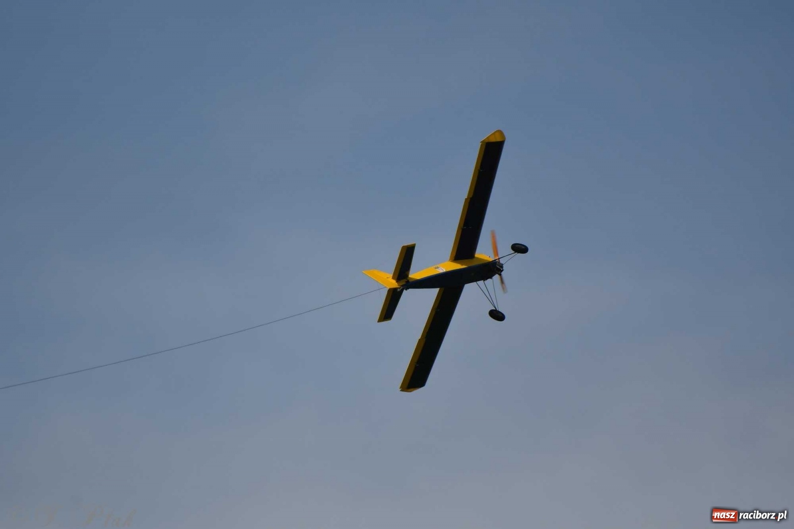 Zdjęcie w galerii na portalu naszraciborz.pl: Raciborskie air show przyciągnęło tłumy  wiadomości z regionu