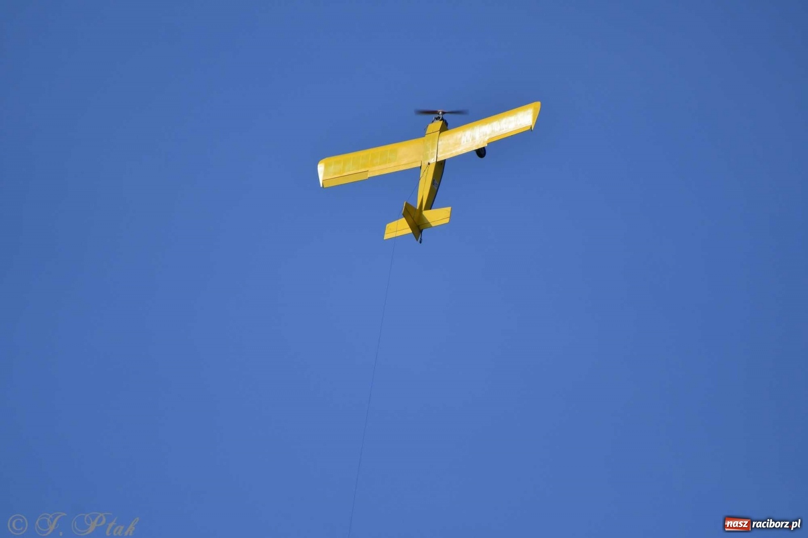 Zdjęcie w galerii na portalu naszraciborz.pl: Raciborskie air show przyciągnęło tłumy  wiadomości z regionu