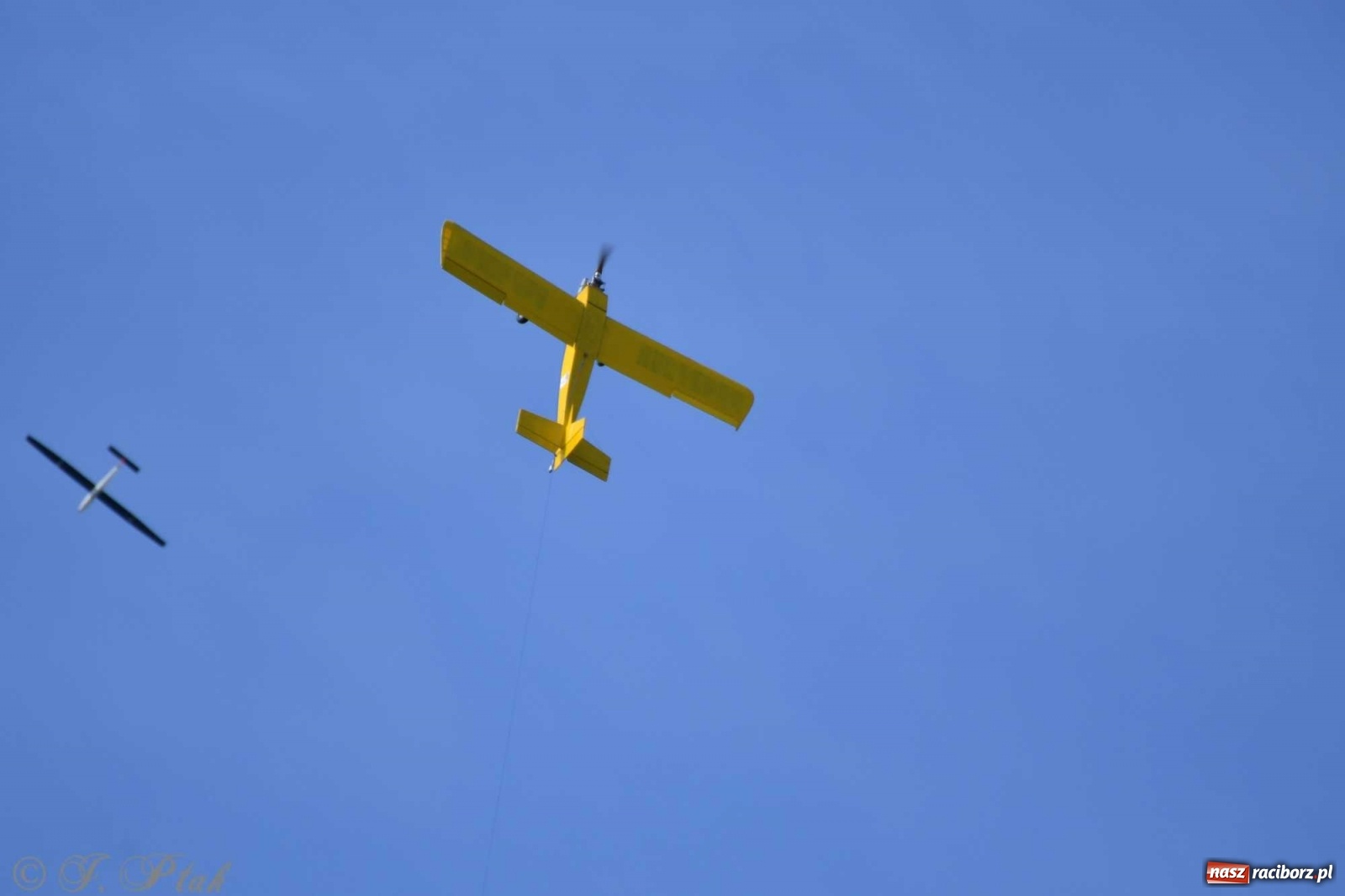 Zdjęcie w galerii na portalu naszraciborz.pl: Raciborskie air show przyciągnęło tłumy  wiadomości z regionu