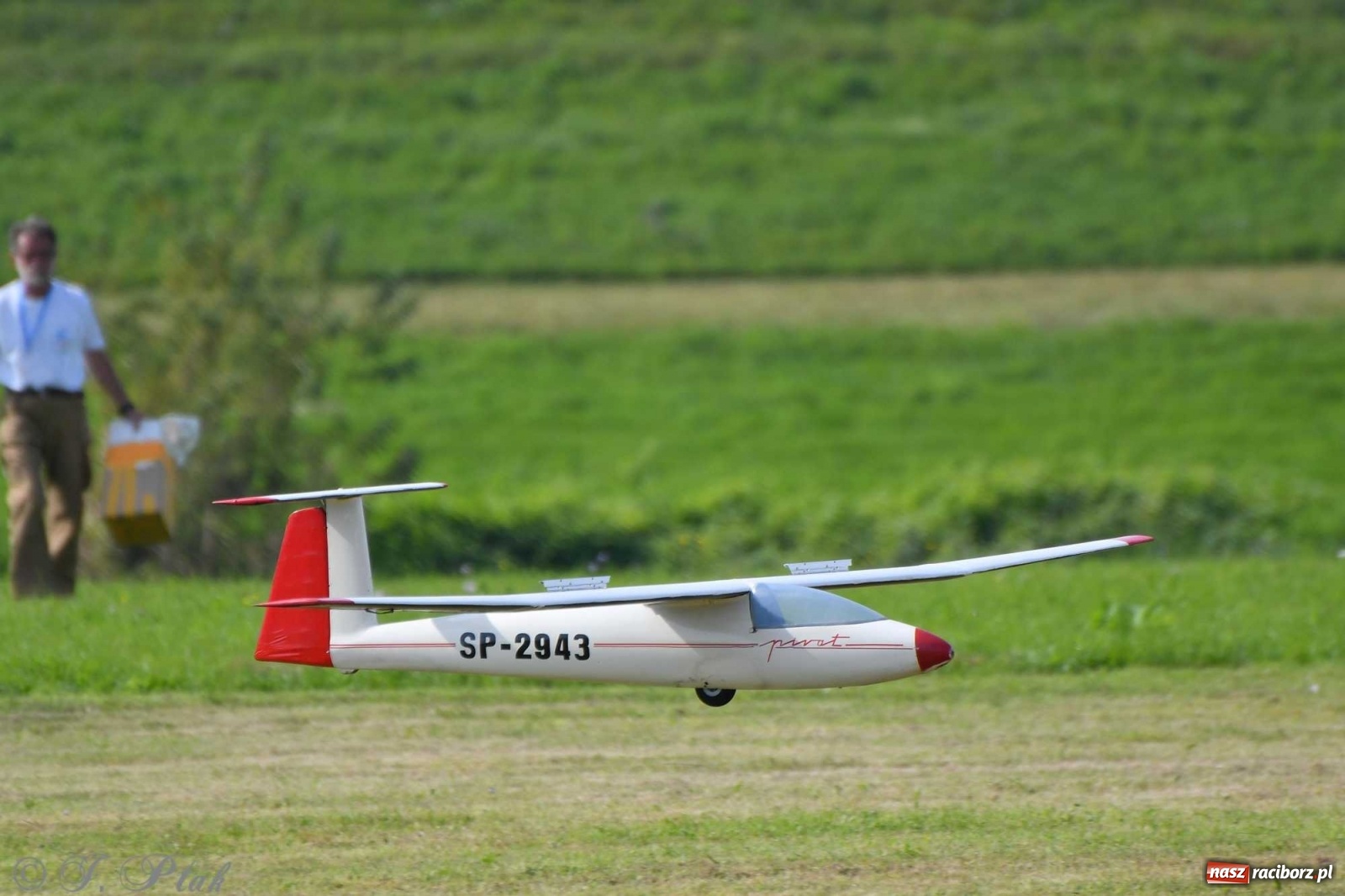 Zdjęcie w galerii na portalu naszraciborz.pl: Raciborskie air show przyciągnęło tłumy  wiadomości z regionu