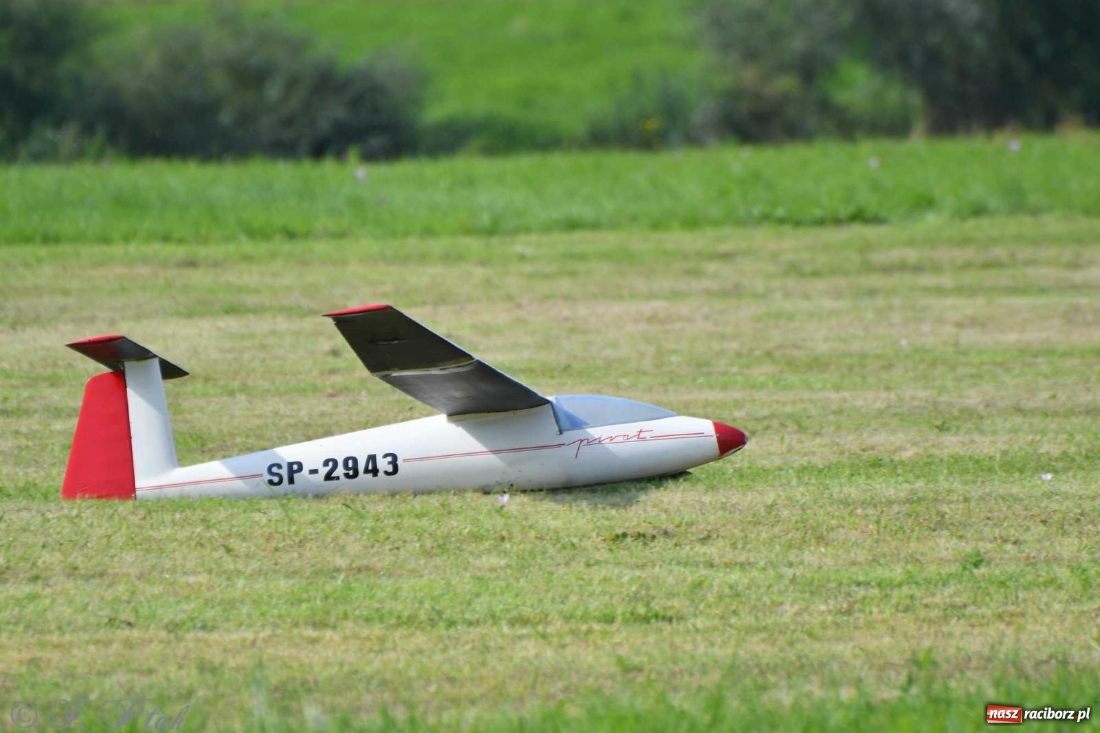 Zdjęcie w galerii na portalu naszraciborz.pl: Raciborskie air show przyciągnęło tłumy  wiadomości z regionu
