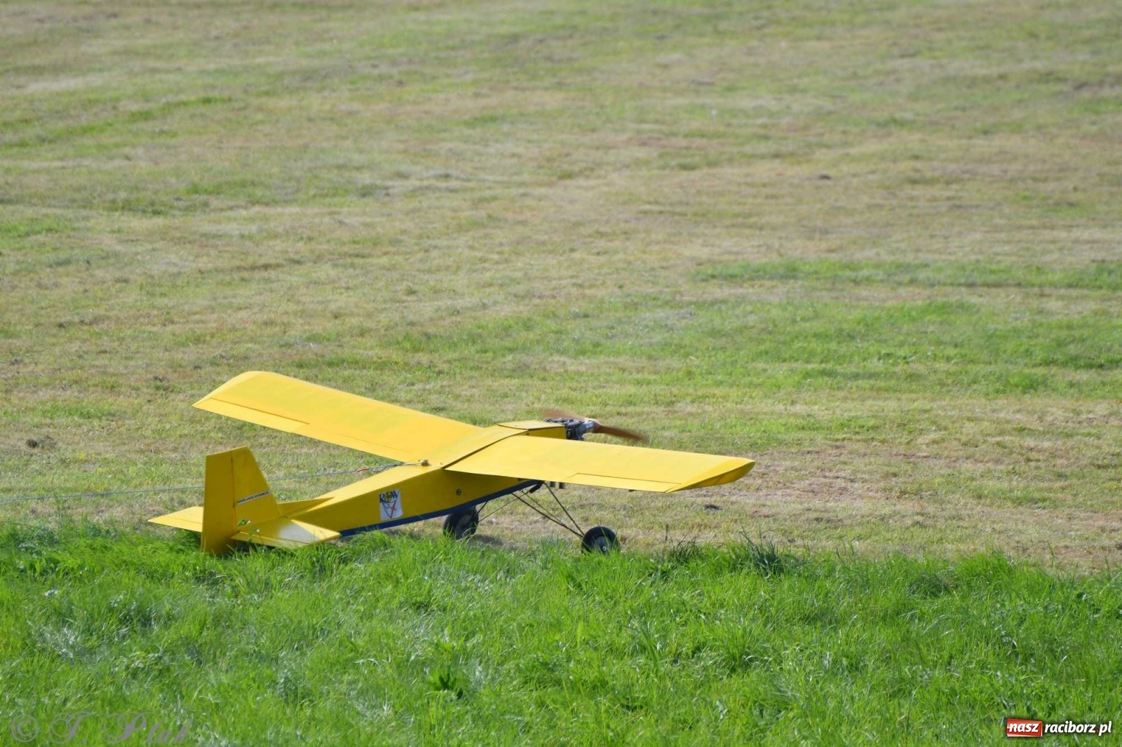 Zdjęcie w galerii na portalu naszraciborz.pl: Raciborskie air show przyciągnęło tłumy  wiadomości z regionu