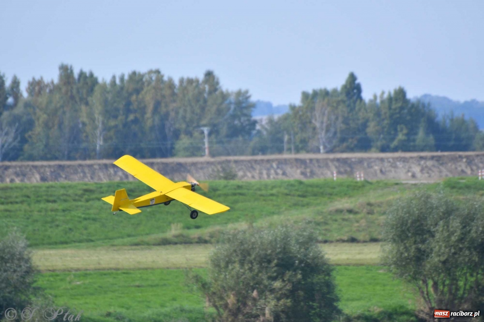 Zdjęcie w galerii na portalu naszraciborz.pl: Raciborskie air show przyciągnęło tłumy  wiadomości z regionu