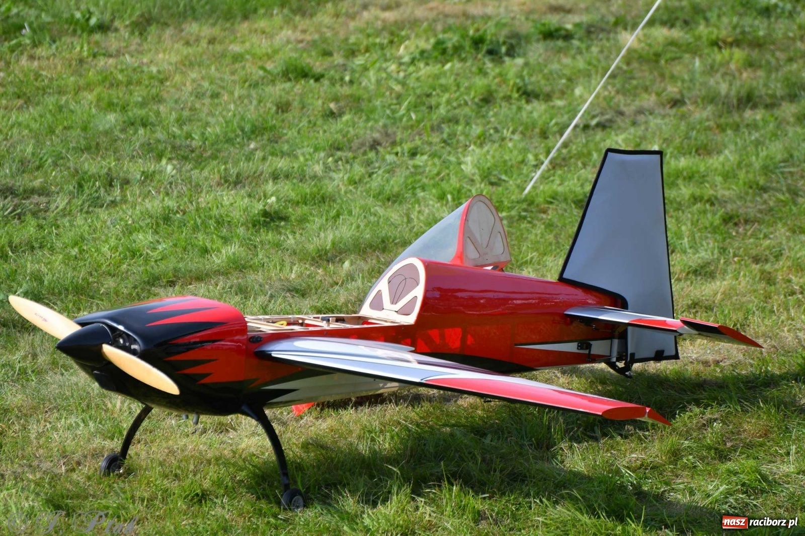 Zdjęcie w galerii na portalu naszraciborz.pl: Raciborskie air show przyciągnęło tłumy  wiadomości z regionu