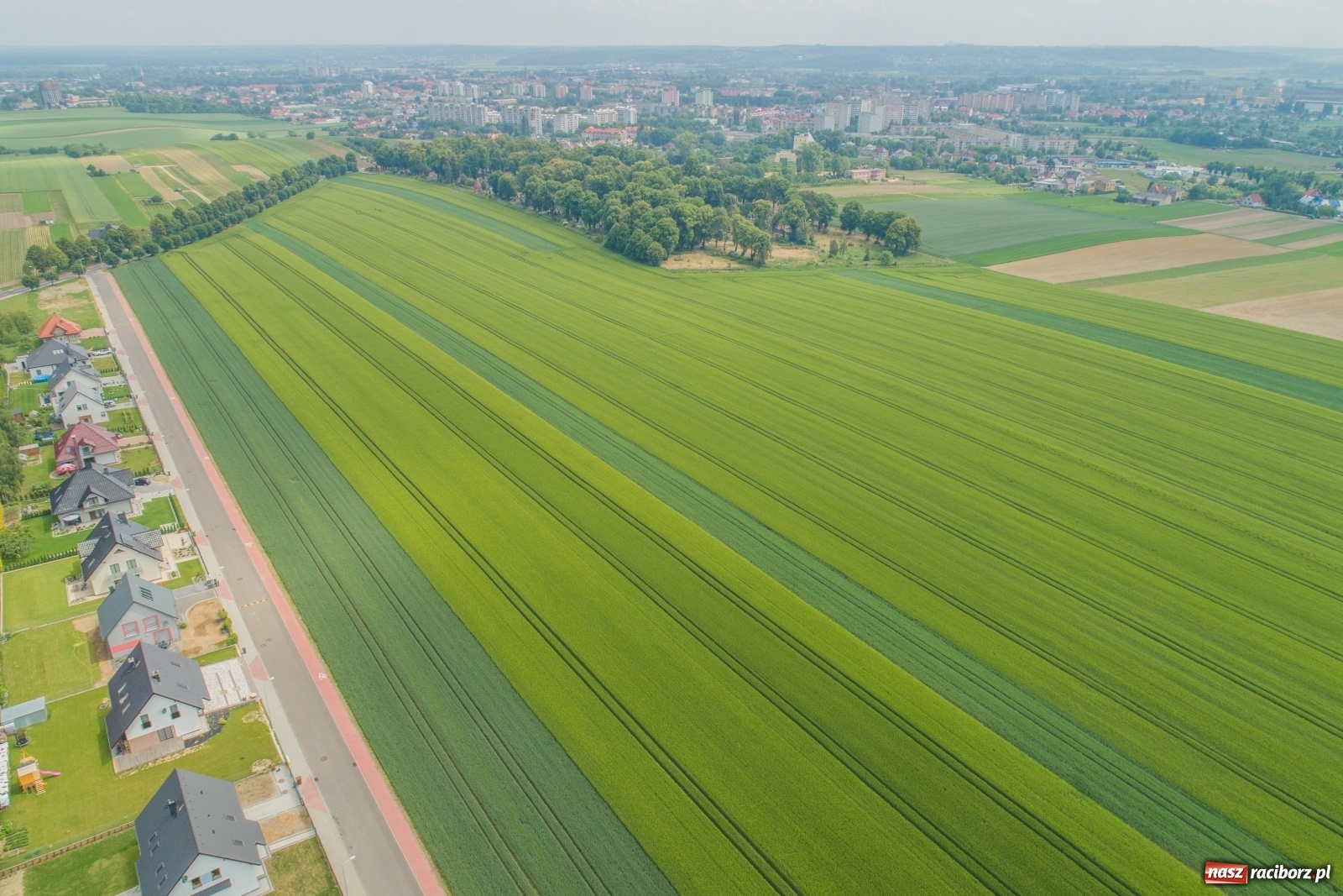 Zdjęcie w galerii na portalu naszraciborz.pl: Miasto wystawiło na sprzedaż osiemnaście działek  wiadomości z regionu