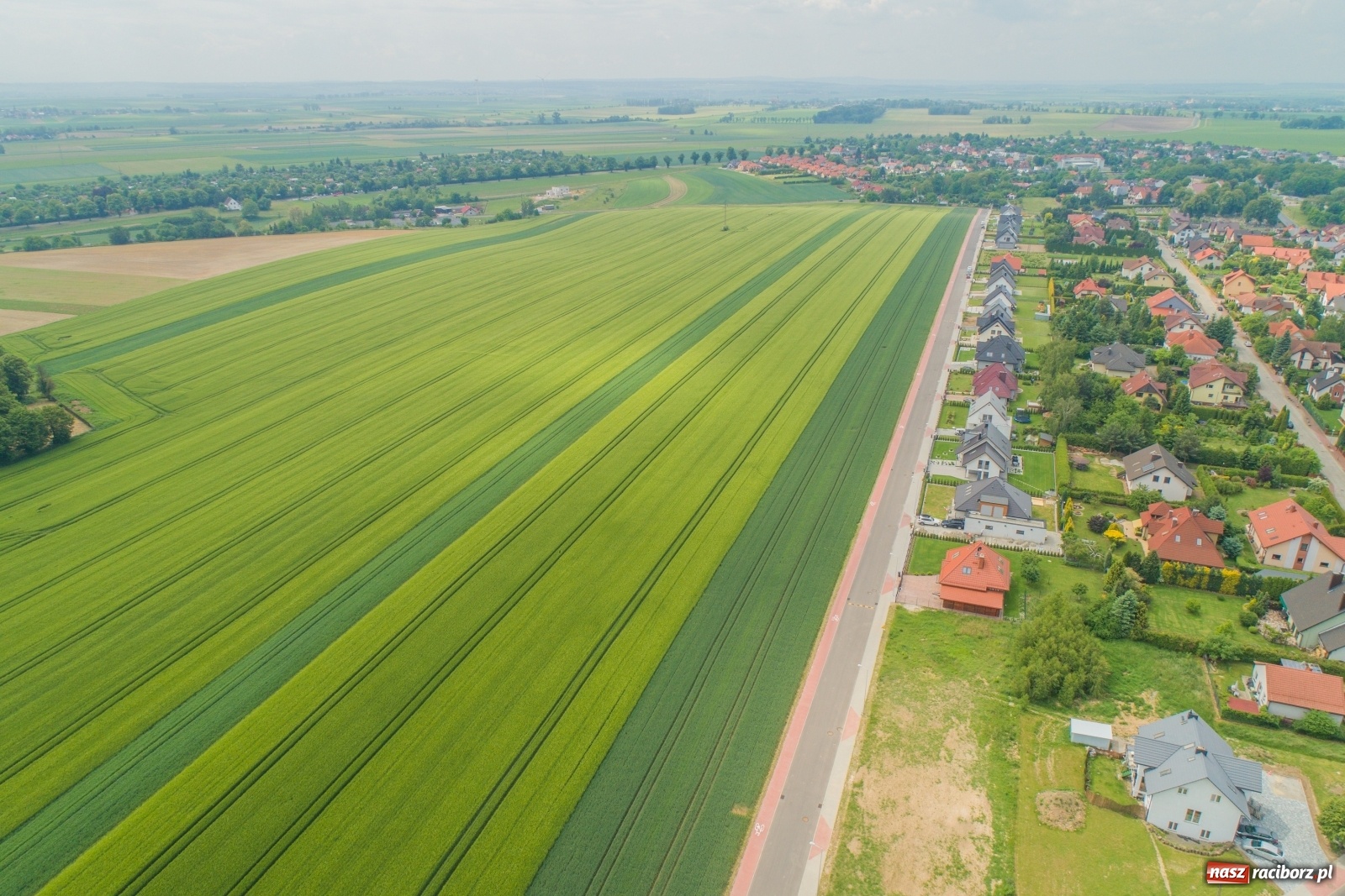 Zdjęcie w galerii na portalu naszraciborz.pl: Miasto wystawiło na sprzedaż osiemnaście działek  wiadomości z regionu