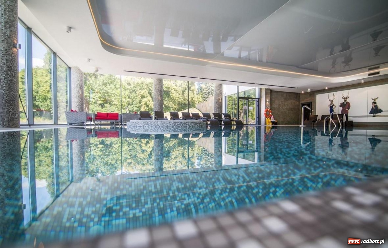 Zdjęcie w galerii na portalu naszraciborz.pl: Odpoczynek w Borach Tucholskich? Sprawdź ofertę Hanza Pałac! wiadomości z regionu