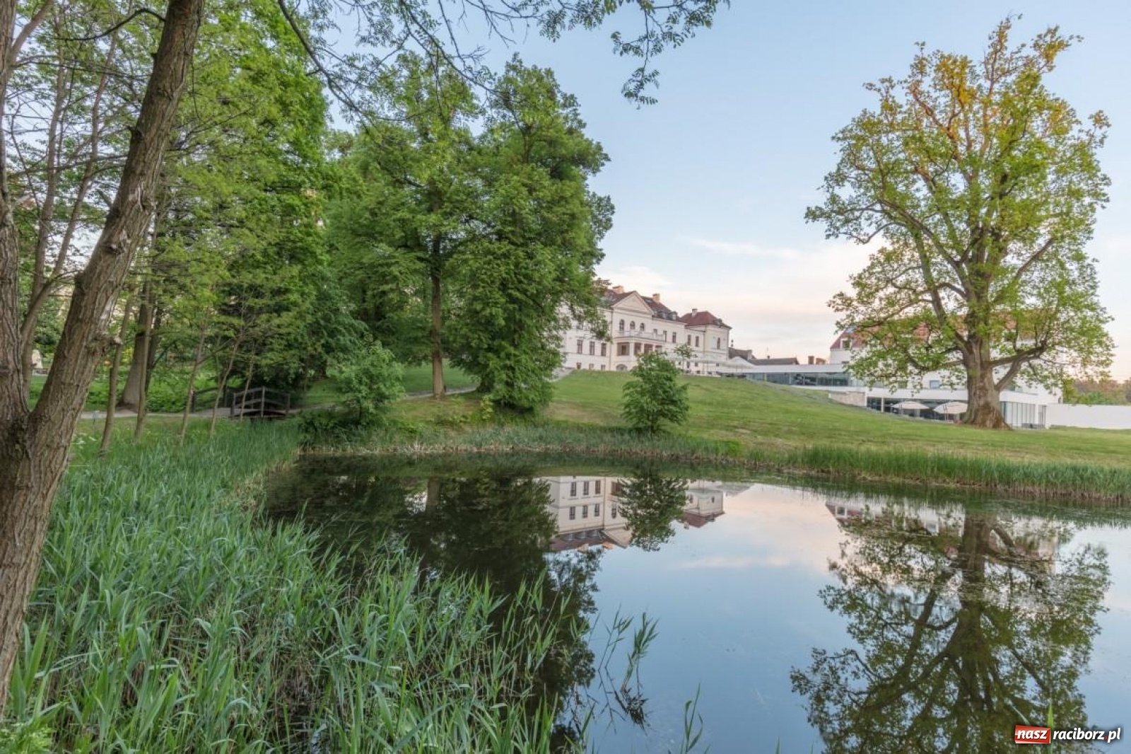 Zdjęcie w galerii na portalu naszraciborz.pl: Odpoczynek w Borach Tucholskich? Sprawdź ofertę Hanza Pałac! wiadomości z regionu