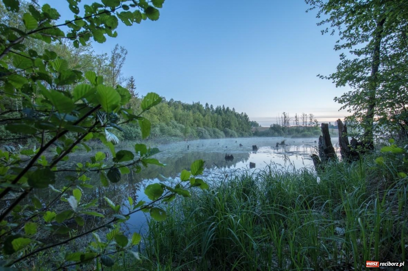 Zdjęcie w galerii na portalu naszraciborz.pl: Odpoczynek w Borach Tucholskich? Sprawdź ofertę Hanza Pałac! wiadomości z regionu
