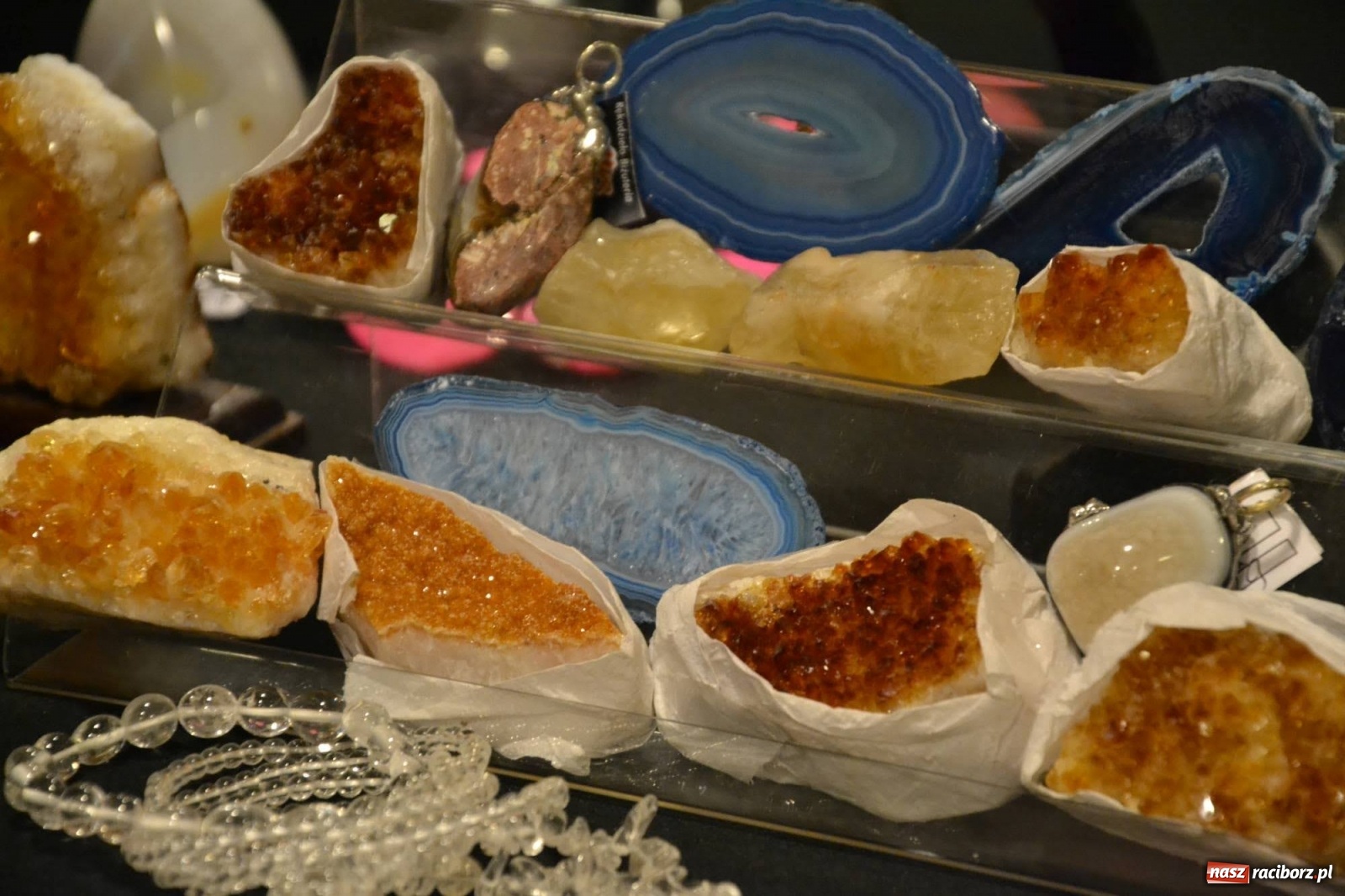 Zdjęcie w galerii na portalu naszraciborz.pl: Zapomniane skarby ziemi na zamku wiadomości z regionu