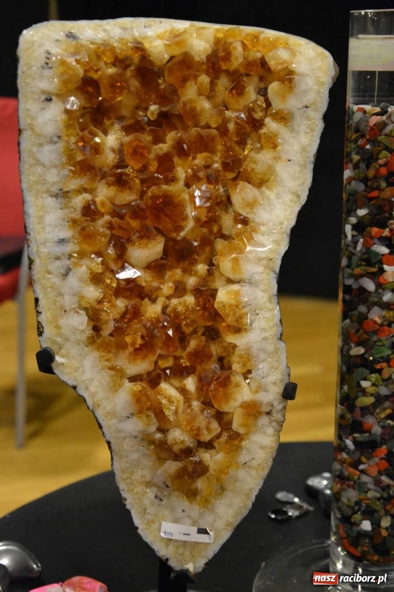 Zdjęcie w galerii na portalu naszraciborz.pl: Zapomniane skarby ziemi na zamku wiadomości z regionu