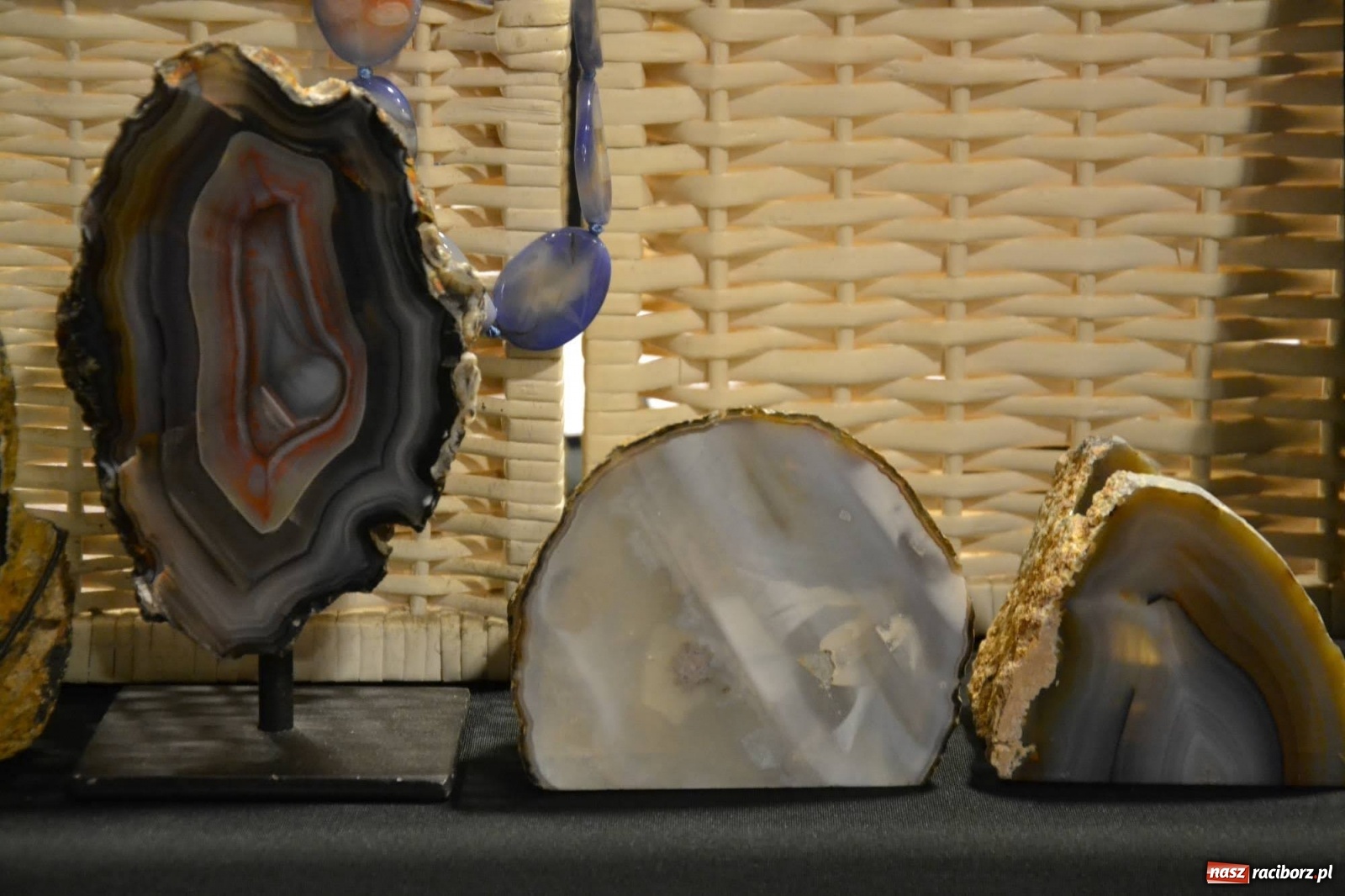 Zdjęcie w galerii na portalu naszraciborz.pl: Zapomniane skarby ziemi na zamku wiadomości z regionu