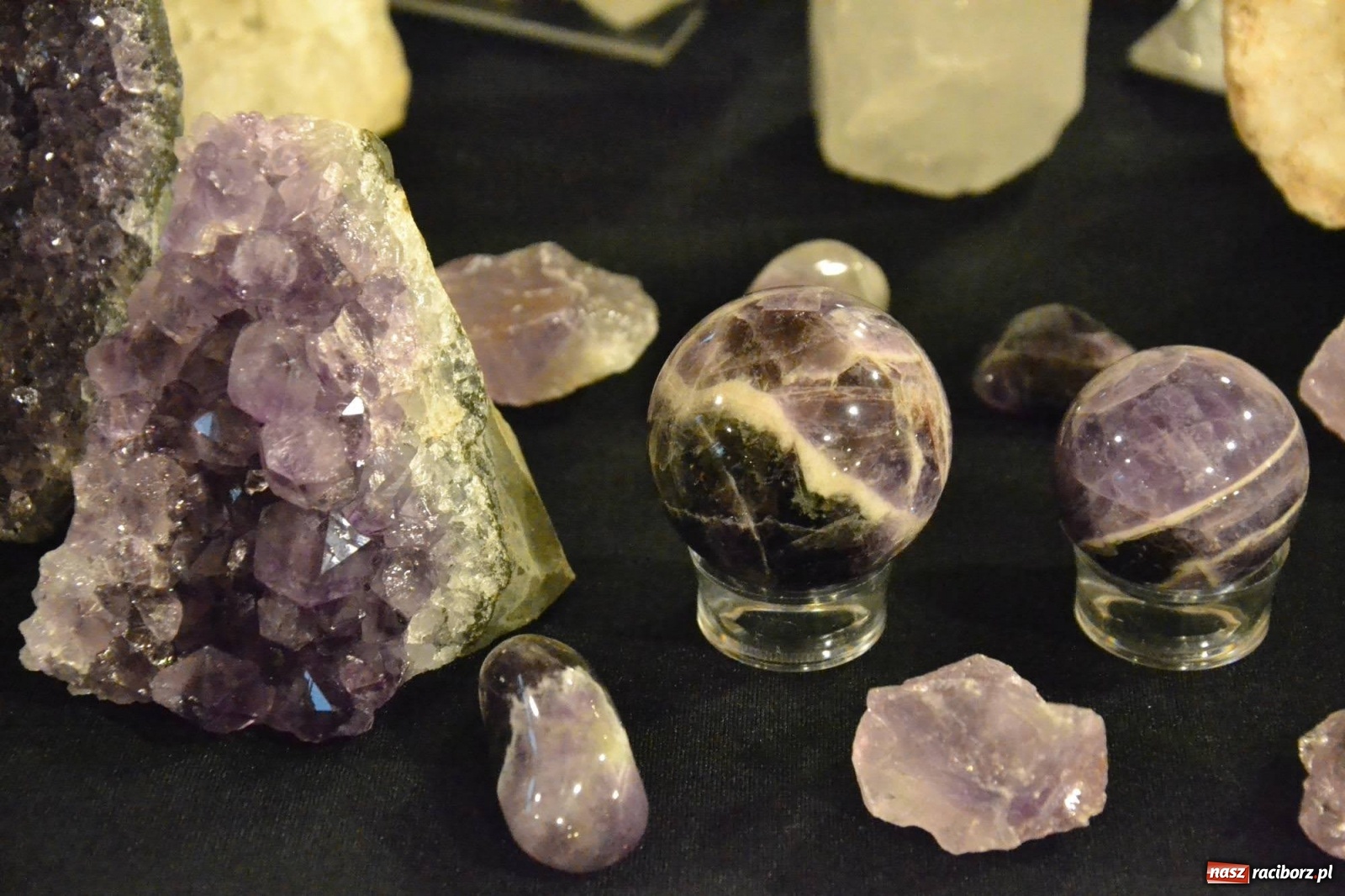 Zdjęcie w galerii na portalu naszraciborz.pl: Zapomniane skarby ziemi na zamku wiadomości z regionu