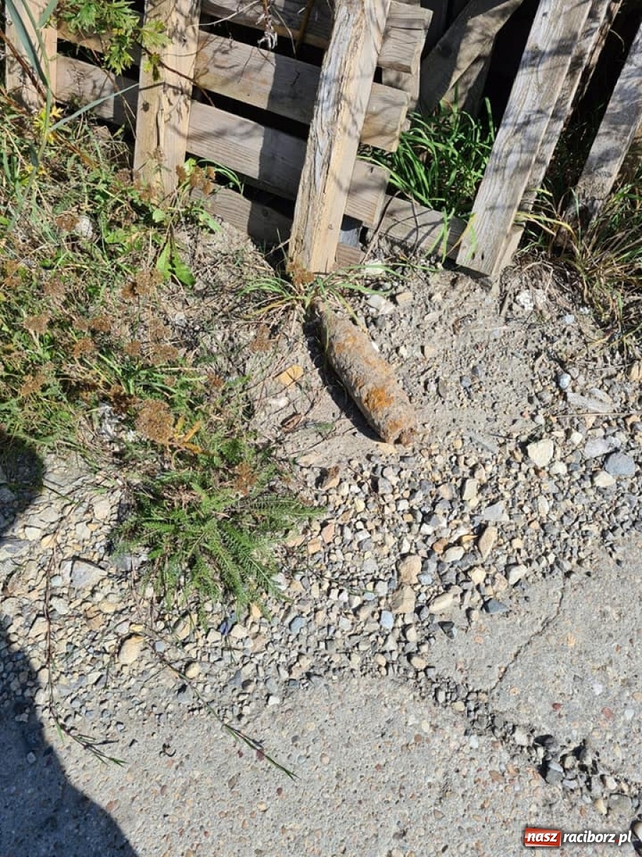 Zdjęcie w galerii na portalu naszraciborz.pl: Groźne znalezisko w Zabełkowie  wiadomości z regionu