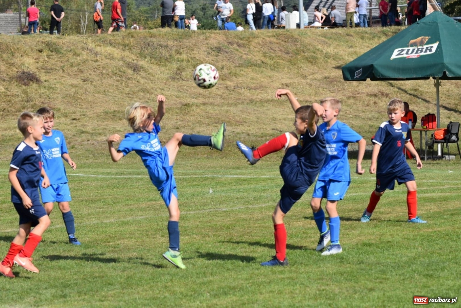 Zdjęcie w galerii na portalu naszraciborz.pl: Drugi dzień piłkarskiej rywalizacji w Górkach Śląskich [WIDEO] wiadomości z regionu