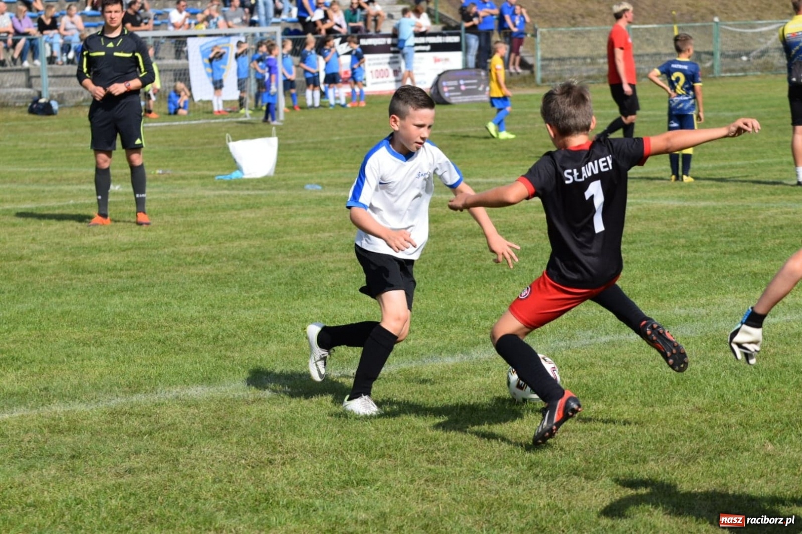 Zdjęcie w galerii na portalu naszraciborz.pl: Drugi dzień piłkarskiej rywalizacji w Górkach Śląskich [WIDEO] wiadomości z regionu