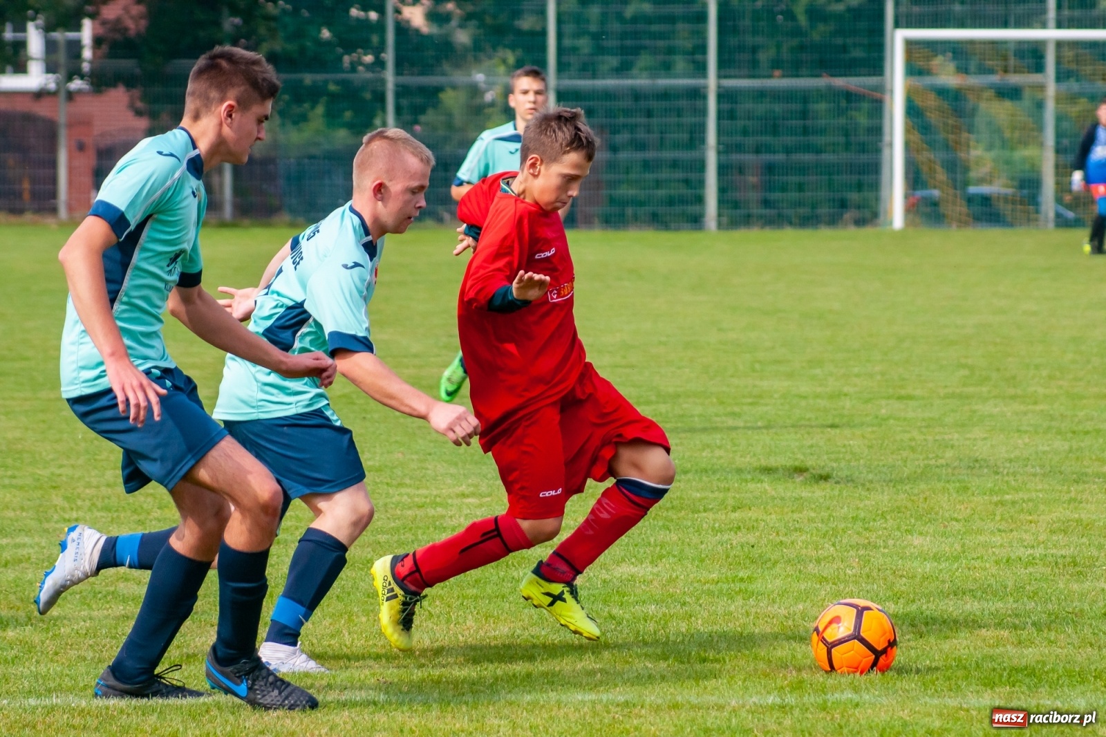 Zdjęcie w galerii na portalu naszraciborz.pl: Dziesięciu wspaniałych z Krzanowic. Dwa oblicza Ocic [FOTO] wiadomości z regionu