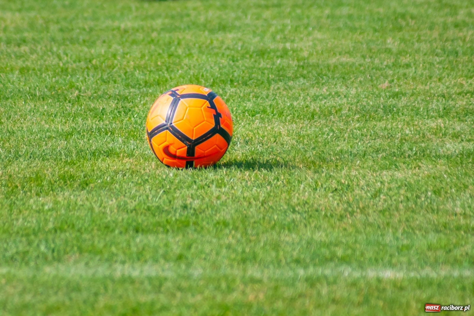 Zdjęcie w galerii na portalu naszraciborz.pl: Dziesięciu wspaniałych z Krzanowic. Dwa oblicza Ocic [FOTO] wiadomości z regionu