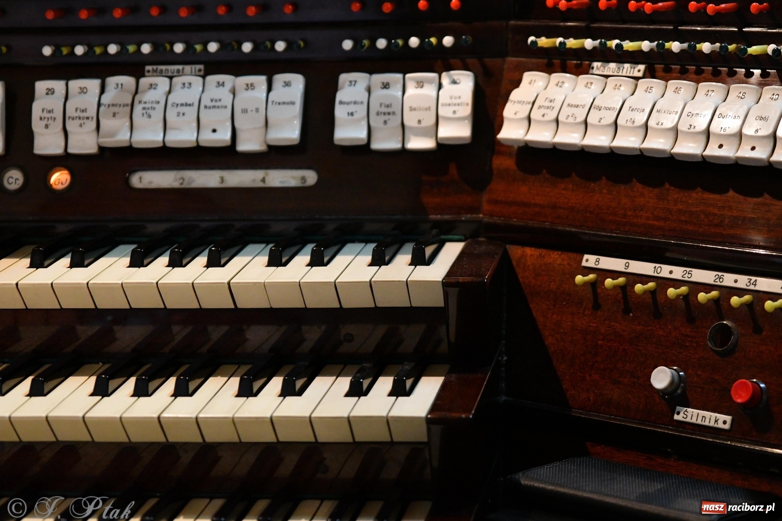 Zdjęcie w galerii na portalu naszraciborz.pl: Arie starowłoskie zabrzmiały w kościele farnym  wiadomości z regionu