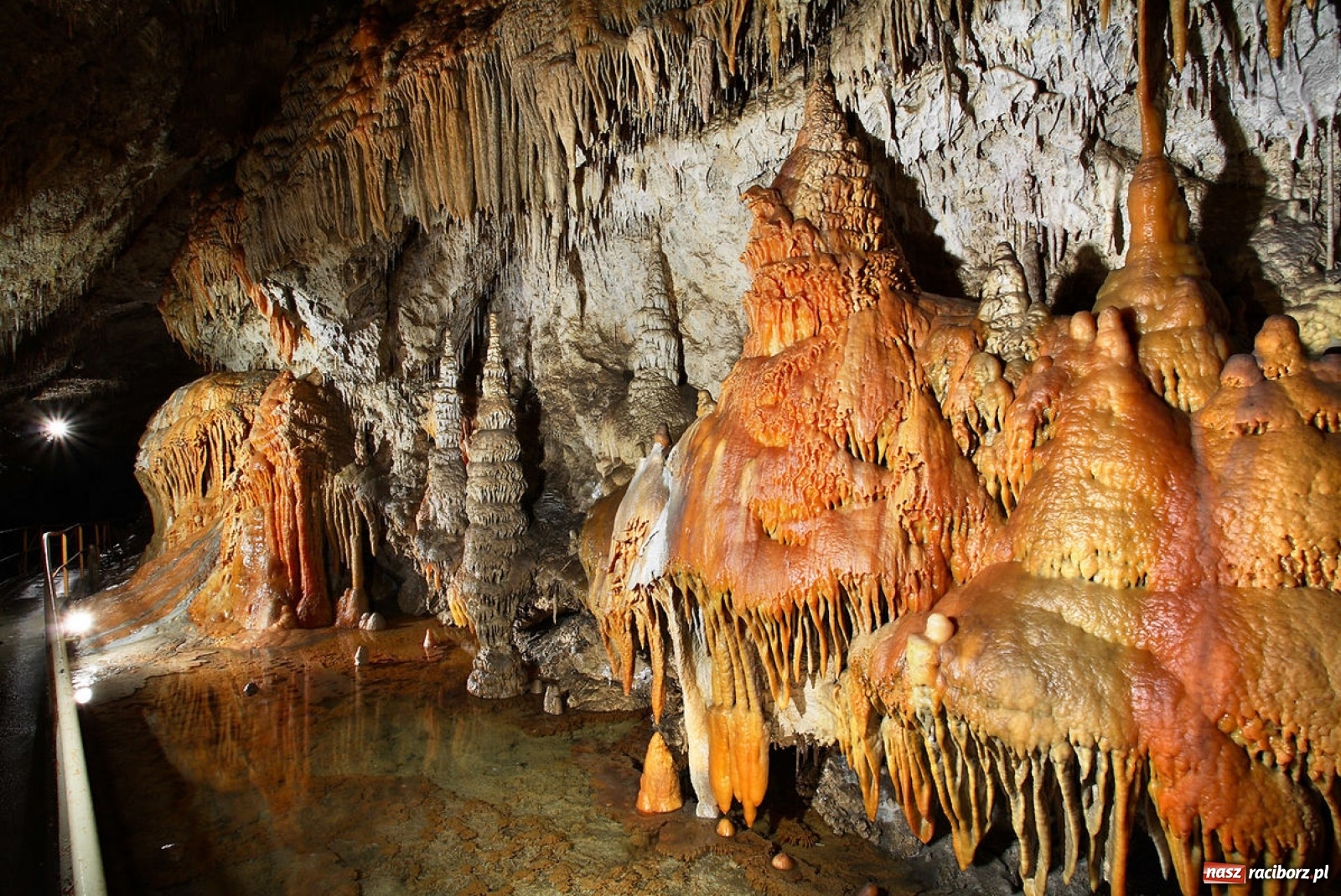 Zdjęcie w galerii na portalu naszraciborz.pl: Poznaj z nami skarby Słowacji!  wiadomości z regionu