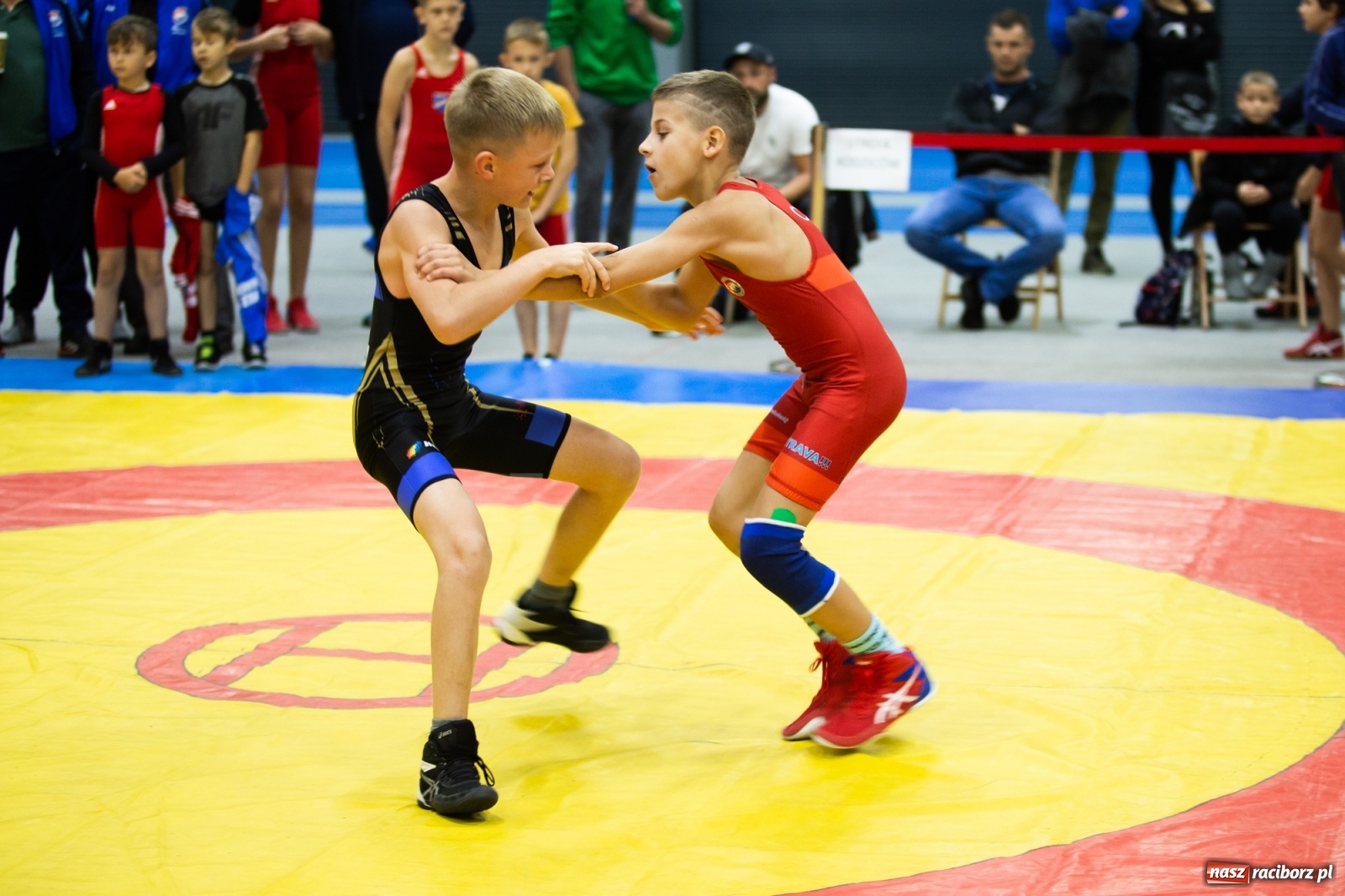 Zdjęcie w galerii na portalu naszraciborz.pl: Memoriał im. Grzegorza Pieronkiewicza w zapasach w stylu klasycznym młodzików wiadomości z regionu