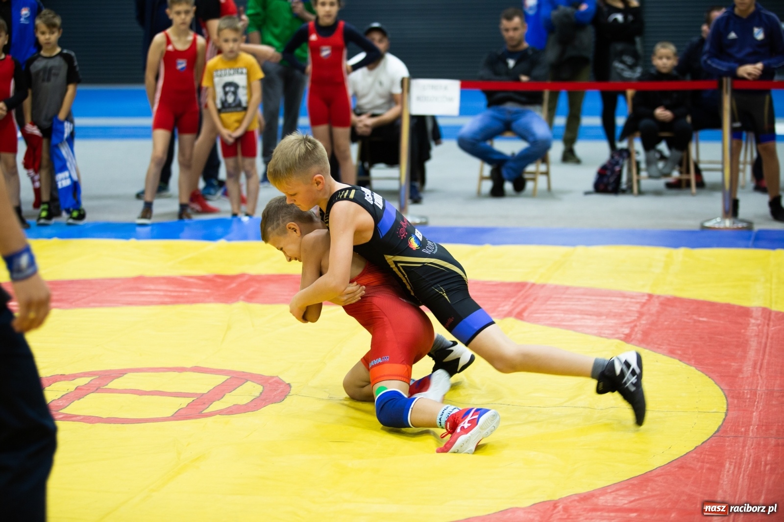 Zdjęcie w galerii na portalu naszraciborz.pl: Memoriał im. Grzegorza Pieronkiewicza w zapasach w stylu klasycznym młodzików wiadomości z regionu