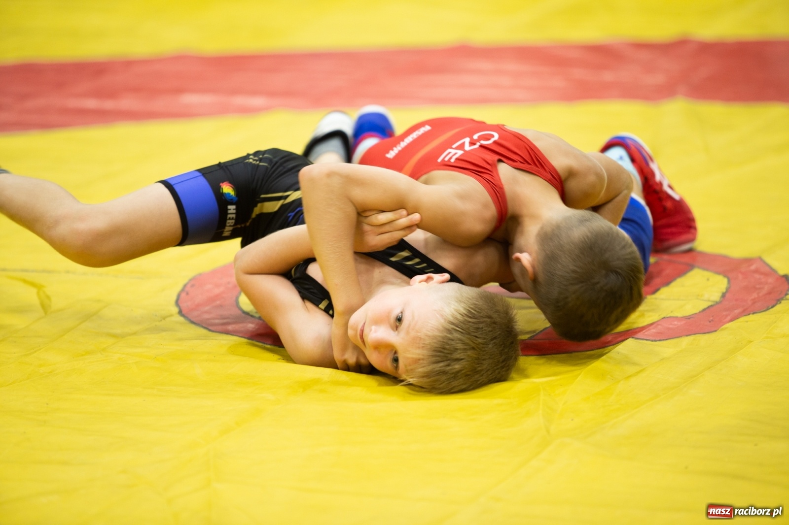 Zdjęcie w galerii na portalu naszraciborz.pl: Memoriał im. Grzegorza Pieronkiewicza w zapasach w stylu klasycznym młodzików wiadomości z regionu