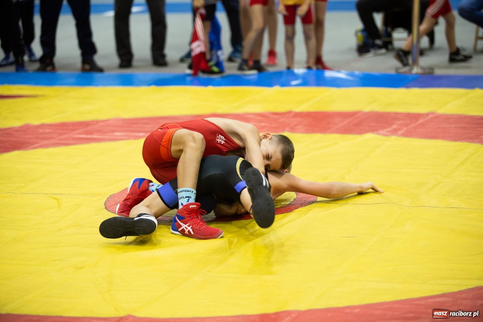 Zdjęcie w galerii na portalu naszraciborz.pl: Memoriał im. Grzegorza Pieronkiewicza w zapasach w stylu klasycznym młodzików wiadomości z regionu