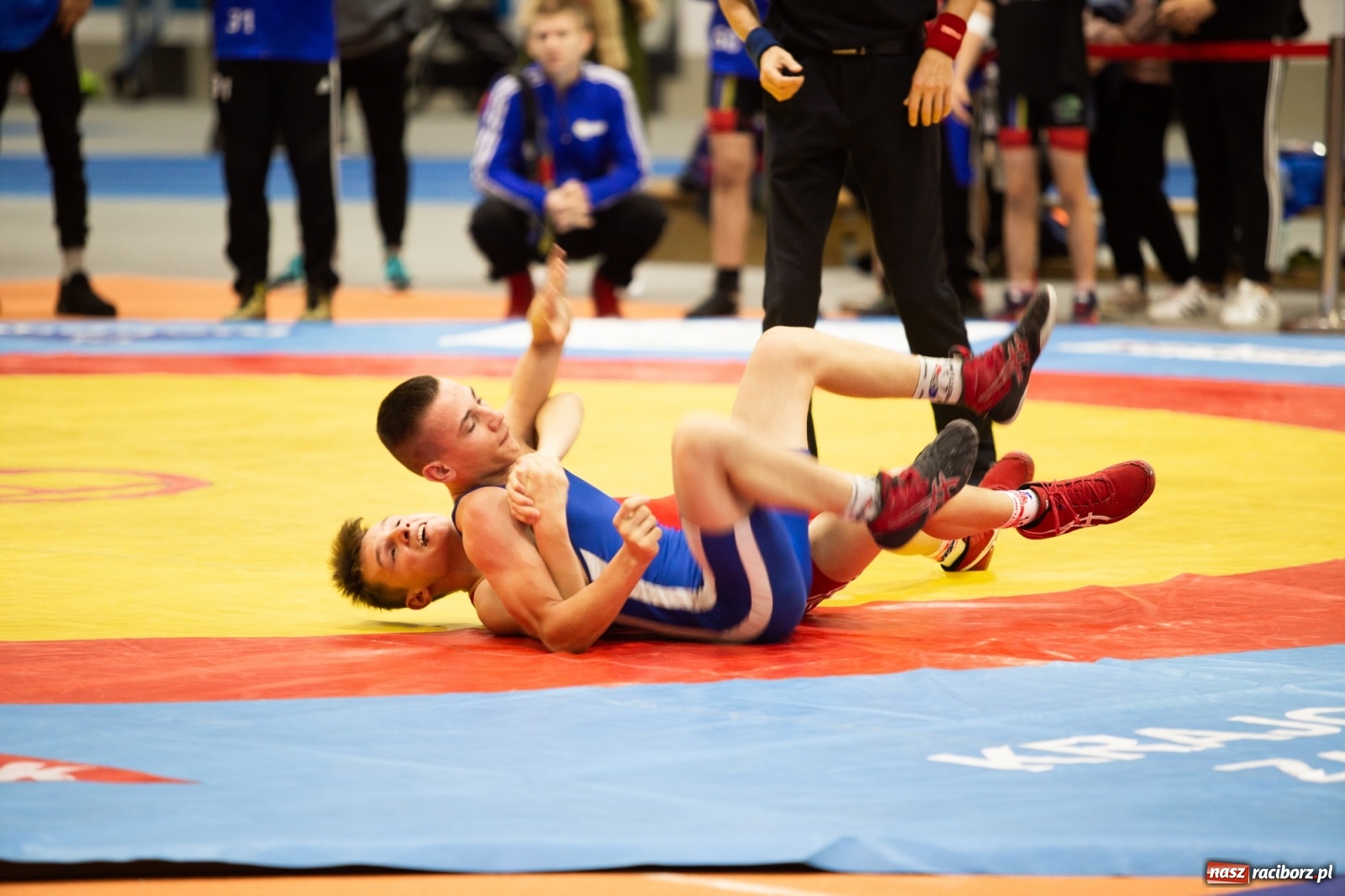 Zdjęcie w galerii na portalu naszraciborz.pl: Memoriał im. Grzegorza Pieronkiewicza w zapasach w stylu klasycznym młodzików wiadomości z regionu