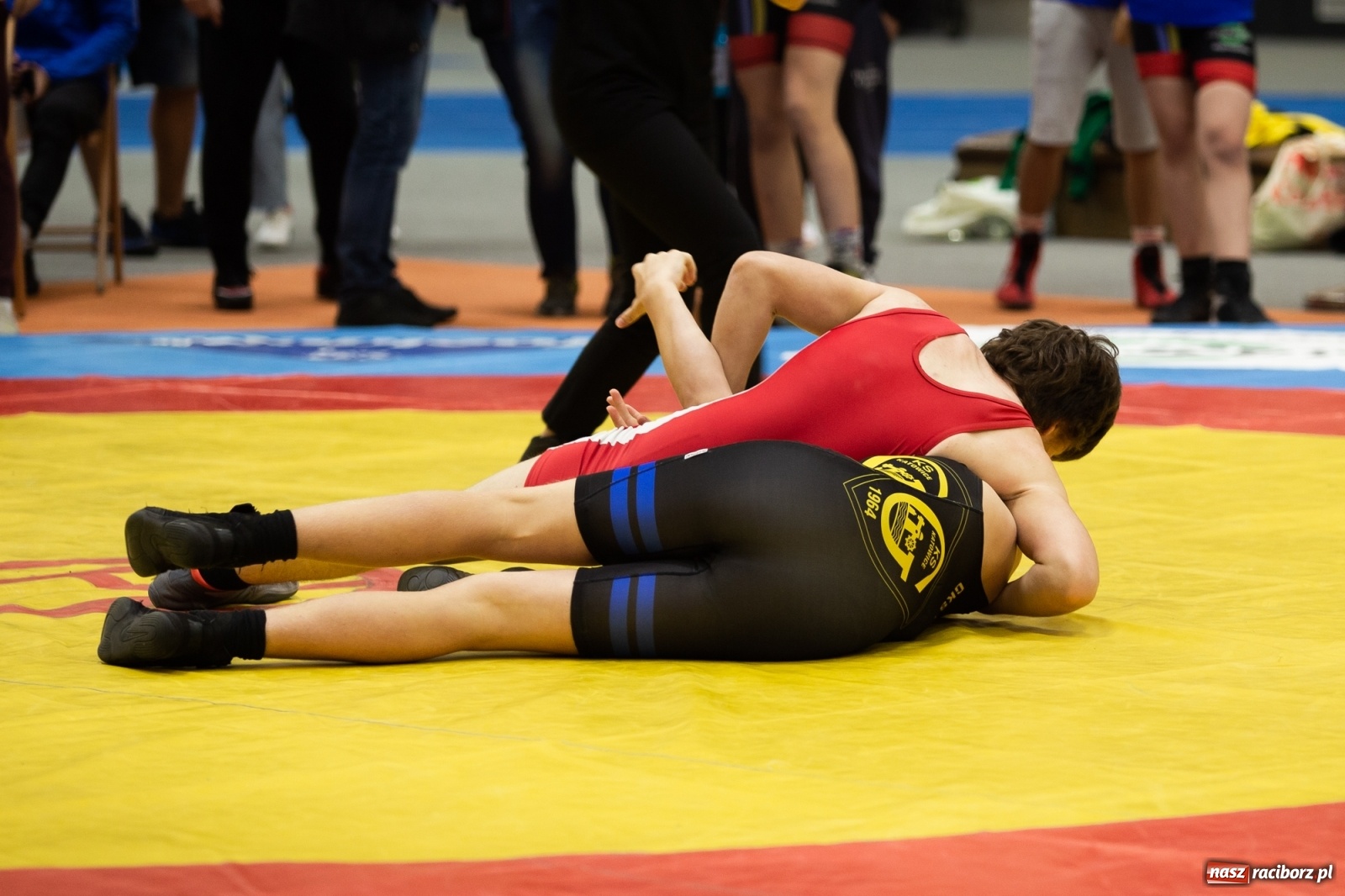 Zdjęcie w galerii na portalu naszraciborz.pl: Memoriał im. Grzegorza Pieronkiewicza w zapasach w stylu klasycznym młodzików wiadomości z regionu