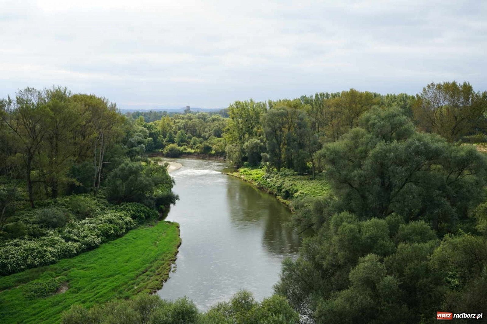 Zdjęcie w galerii na portalu naszraciborz.pl: Wody Polskie gospodarzem międzynarodowego spotkania na zbiorniku Racibórz wiadomości z regionu
