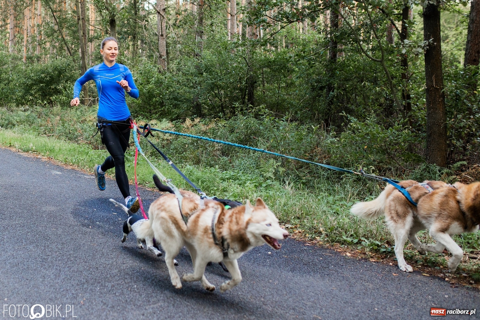 Zdjęcie w galerii na portalu naszraciborz.pl: V Kuźniański Półmaraton Leśny 2020 [FOTO] wiadomości z regionu