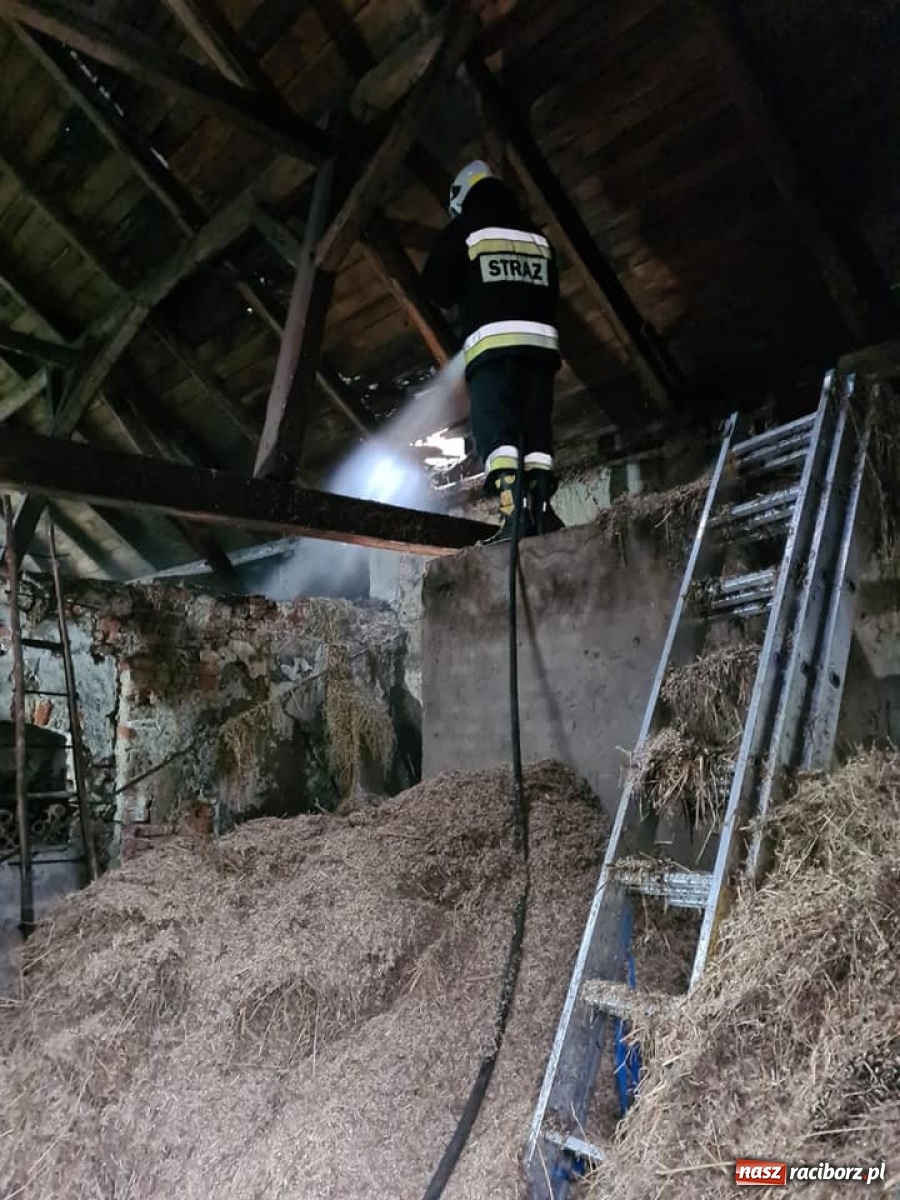 Zdjęcie w galerii na portalu naszraciborz.pl: Raport 998. Bombowy wtorek raciborskich strażaków. Pożar w Zabełkowie wiadomości z regionu