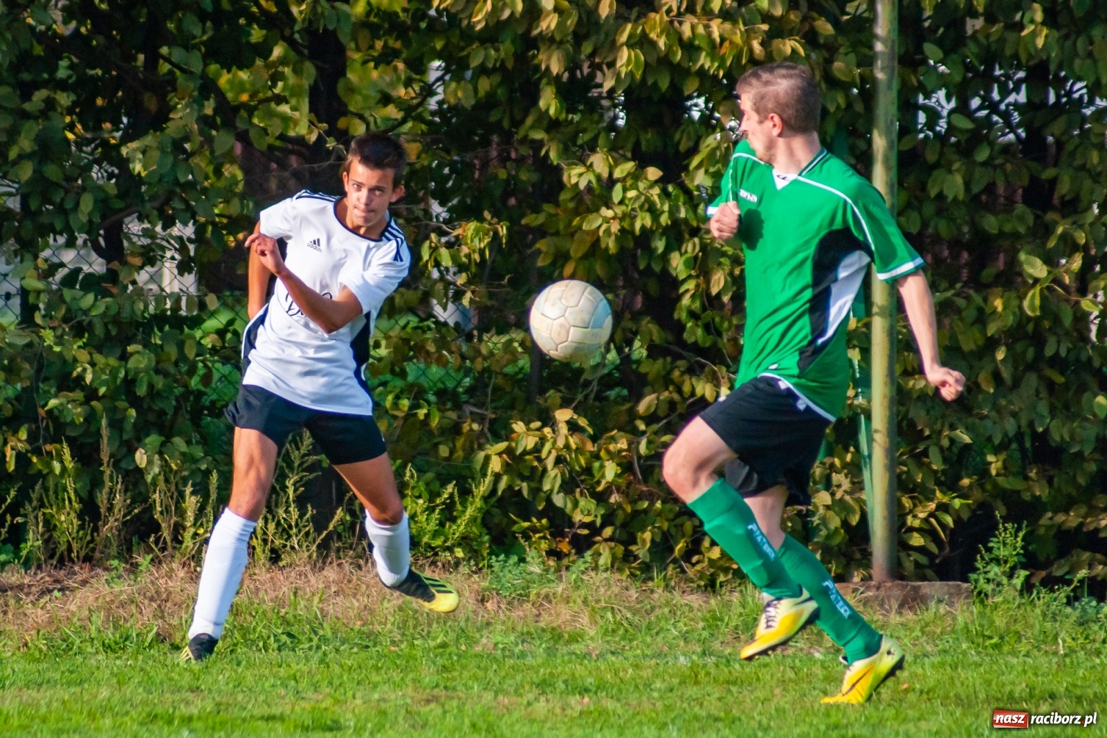 Zdjęcie w galerii na portalu naszraciborz.pl: Męczące derby na Płoni. Wicher nie sprostał Ocicom [FOTO i WIDEO] wiadomości z regionu