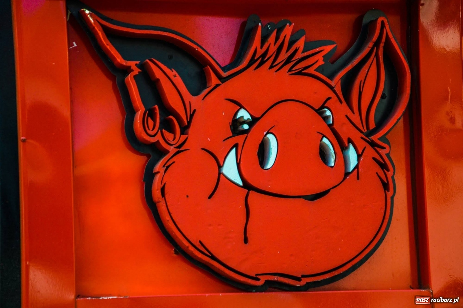 Zdjęcie w galerii na portalu naszraciborz.pl: Do Raciborza zjechały food trucki [FOTO] wiadomości z regionu