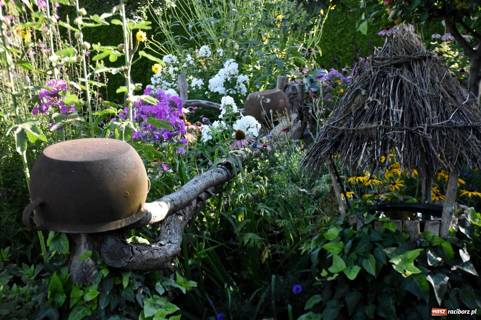 Zdjęcie w galerii na portalu naszraciborz.pl: Ogród z Krzyżanowic zagościł w programach TVN wiadomości z regionu