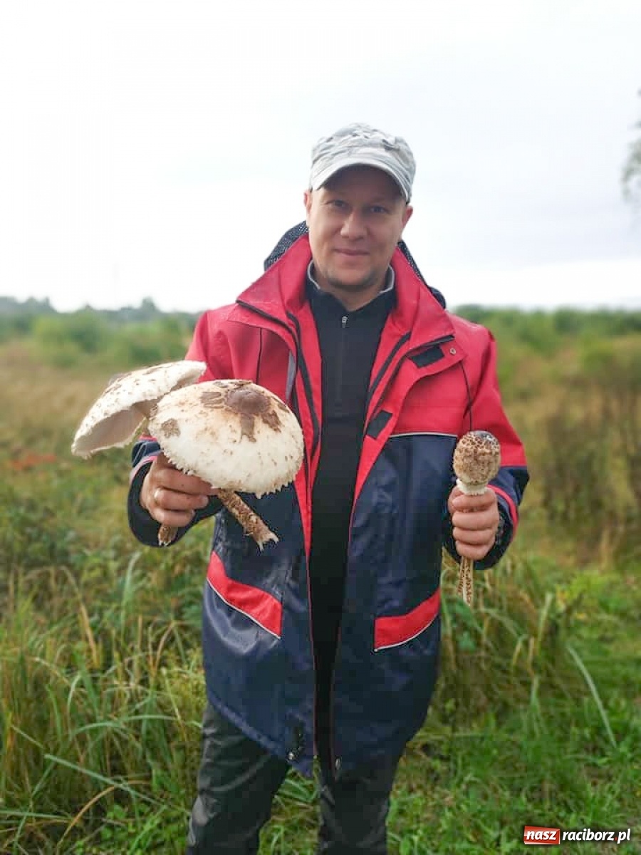 Zdjęcie w galerii na portalu naszraciborz.pl: Znamy najlepszych grzybiarzy ziemi raciborskiej  wiadomości z regionu