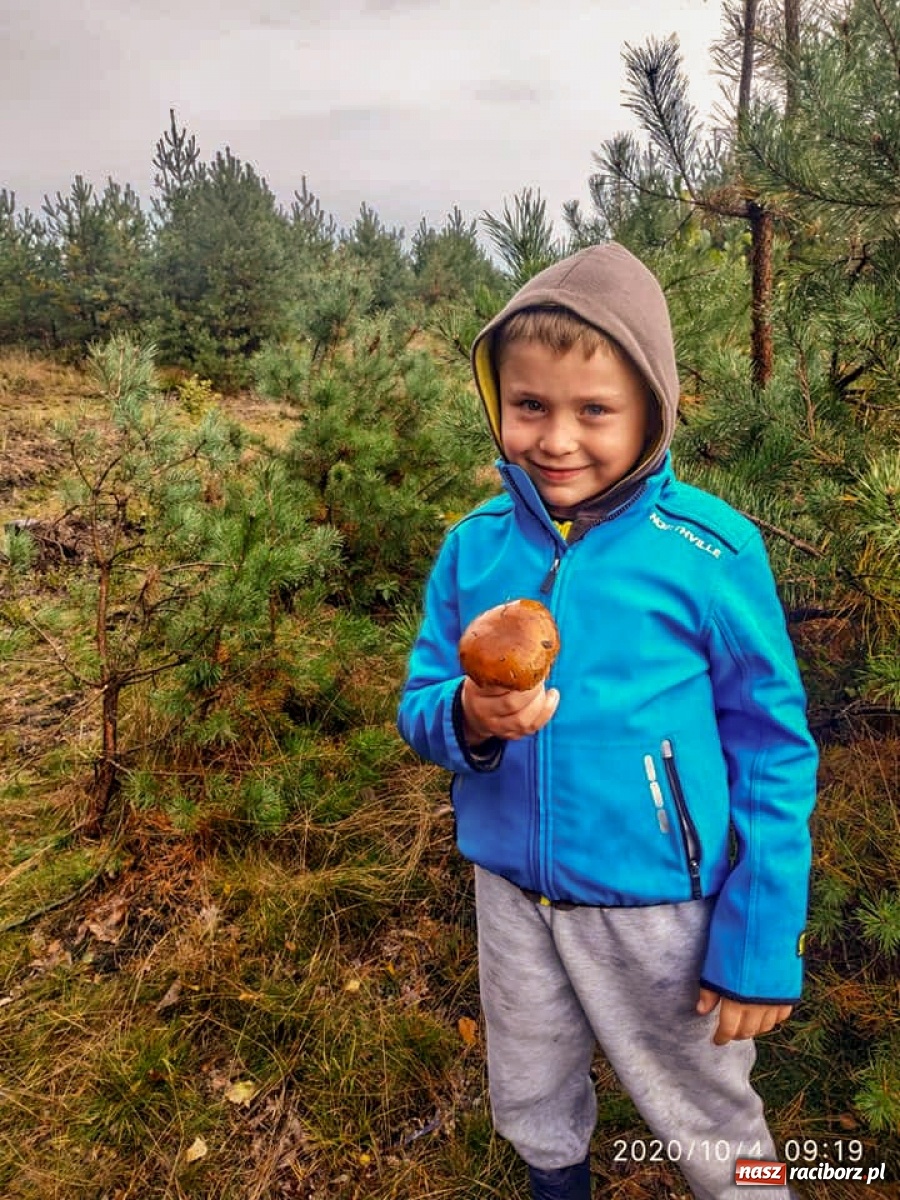 Zdjęcie w galerii na portalu naszraciborz.pl: Znamy najlepszych grzybiarzy ziemi raciborskiej  wiadomości z regionu