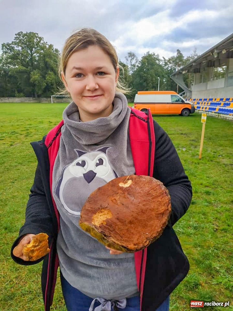 Zdjęcie w galerii na portalu naszraciborz.pl: Znamy najlepszych grzybiarzy ziemi raciborskiej  wiadomości z regionu