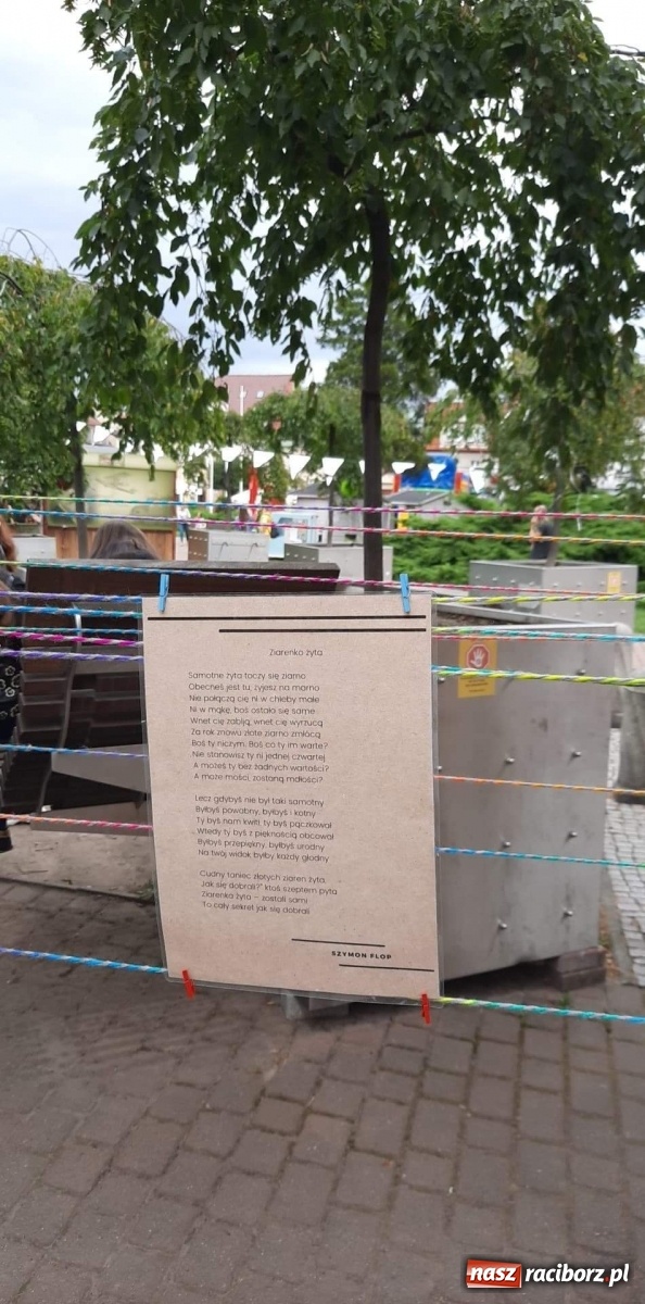Zdjęcie w galerii na portalu naszraciborz.pl: Uczeń I LO na Żory City Art Festiwal wiadomości z regionu
